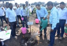 More than 1 Lakh Plantation achieved this year as part of greenification