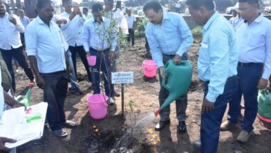 More than 1 Lakh Plantation achieved this year as part of greenification